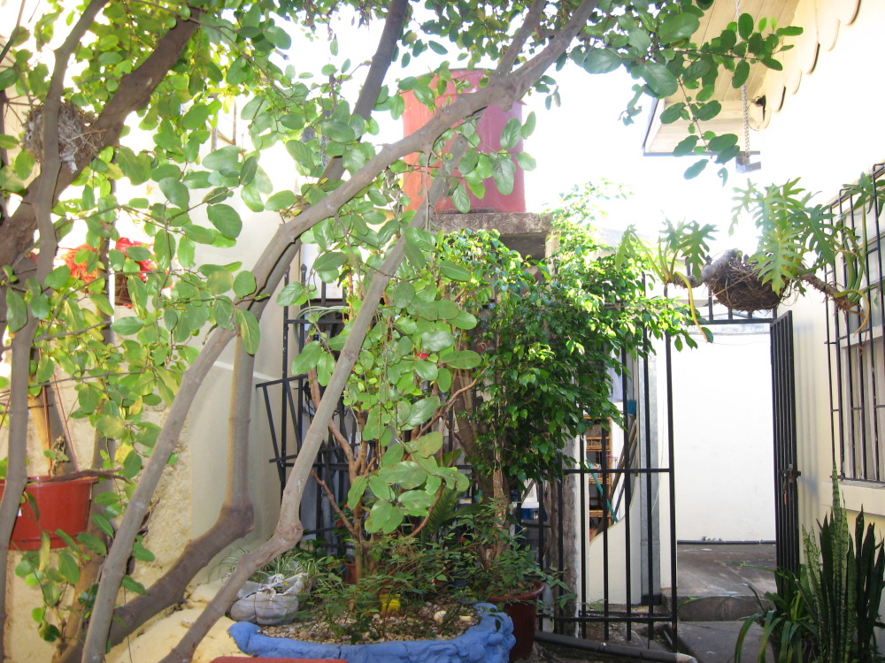 Lokation: Costa Rica | Alajuela | Alajuela | Kategorien: Unterkunft, Datum: 27.01.2010