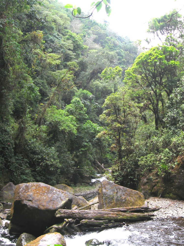 Lokation: Costa Rica | San José | Providencia | Kategorien: Fluss, Datum: 04.02.2010