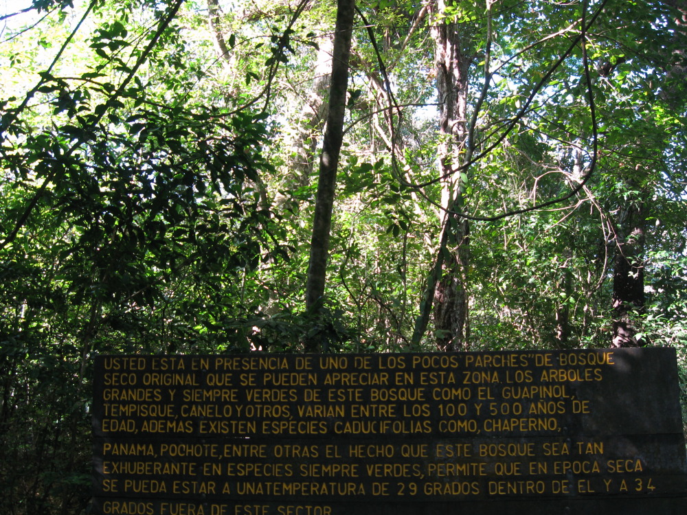 Lokation: Costa Rica | Guanacaste | Santa Rosa | Kategorien: Tafel, Datum: 06.02.2010