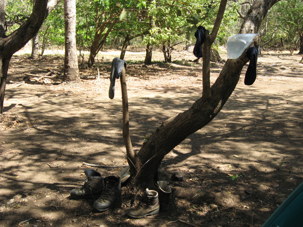Lokation: Costa Rica | Guanacaste | Santa Rosa | Kategorien: Camping, Datum: 06.02.2010