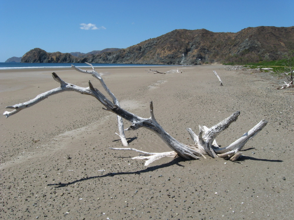 Lokation: Costa Rica | Guanacaste | Guanacaste | Kategorien: Strand, Datum: 07.02.2010