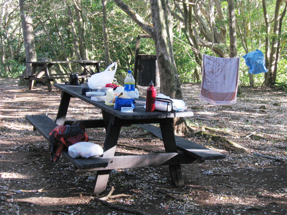 Lokation: Costa Rica | Guanacaste | Tanques | Kategorien: Camping, Datum: 12.02.2010