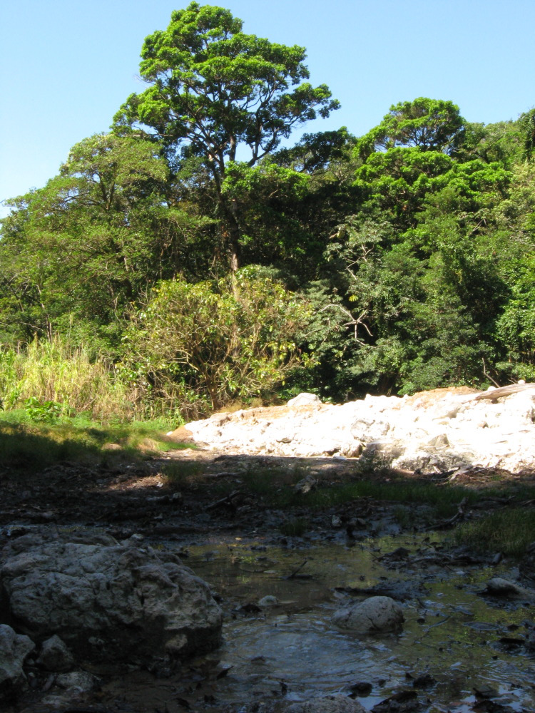 Lokation: Costa Rica | Guanacaste | Tanques | Kategorien: Geologie, Datum: 12.02.2010