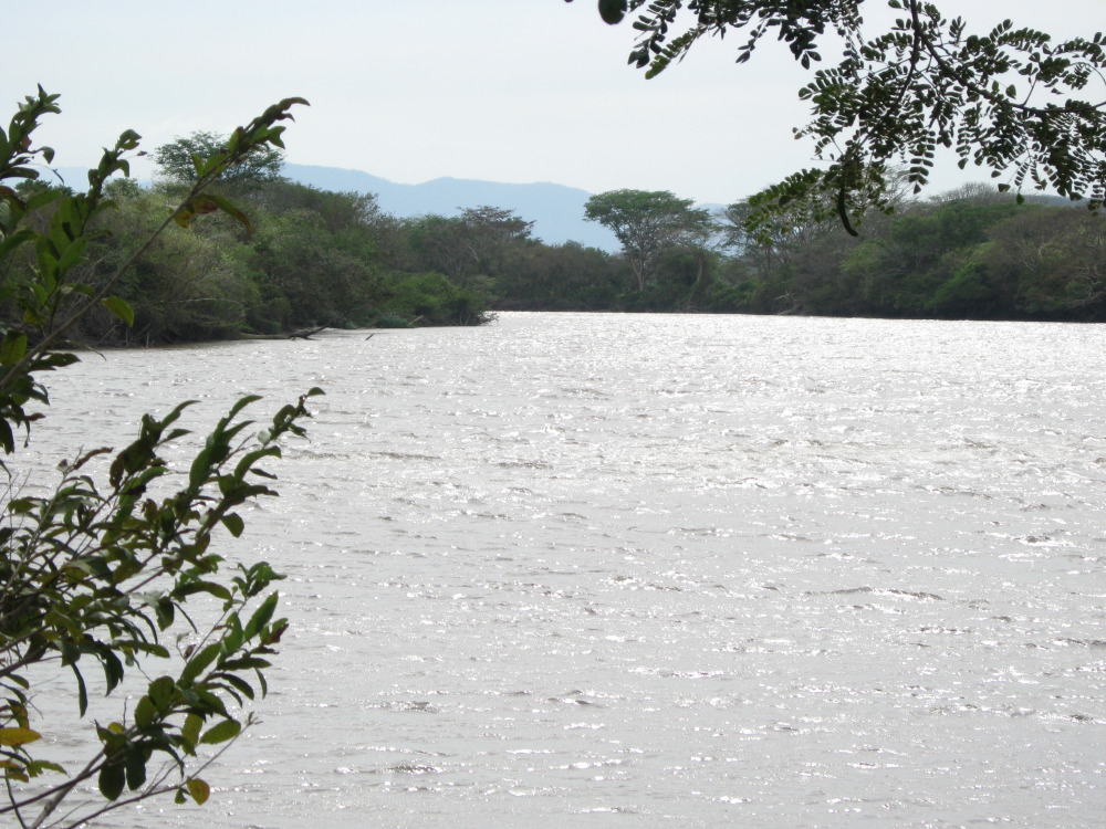 Lokation: Costa Rica | Guanacaste | Palo Verde | Kategorien: Fluss, Datum: 14.02.2010