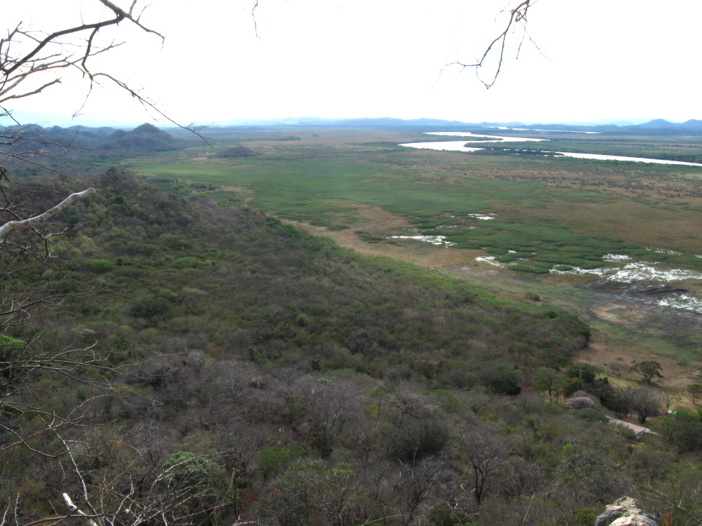 Lokation: Costa Rica | Guanacaste | Palo Verde | Kategorien: Landschaft, Datum: 15.02.2010
