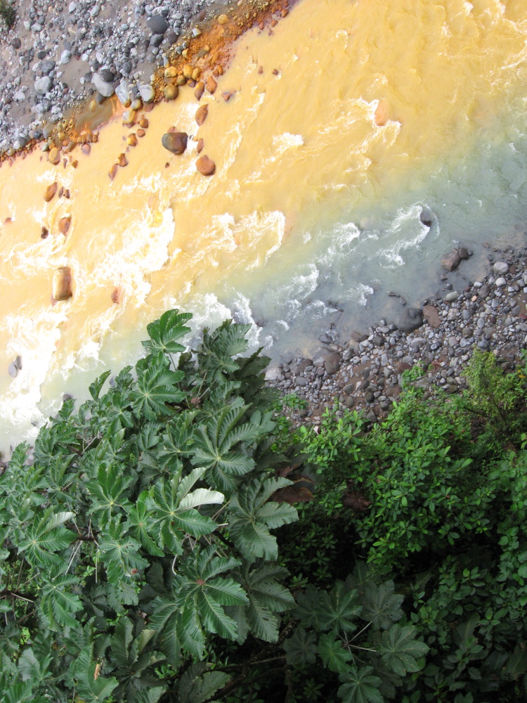 Lokation: Costa Rica | San José | Carrillo | Kategorien: Fluss, Datum: 17.02.2010