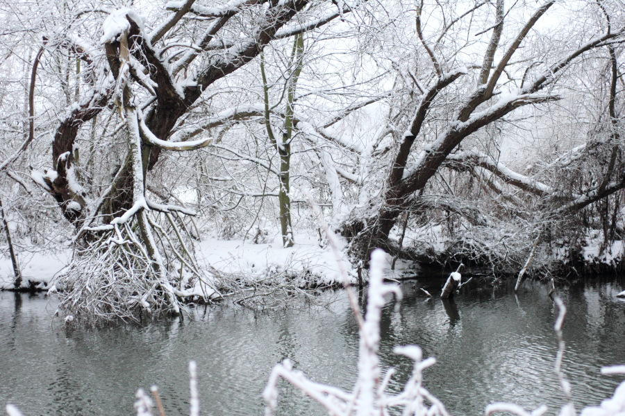 Lokation: Deutschland | Nordrhein-Westfalen | Essen | Oben im Eiberg Kategorien: Winter, Datum: 17.12.2010