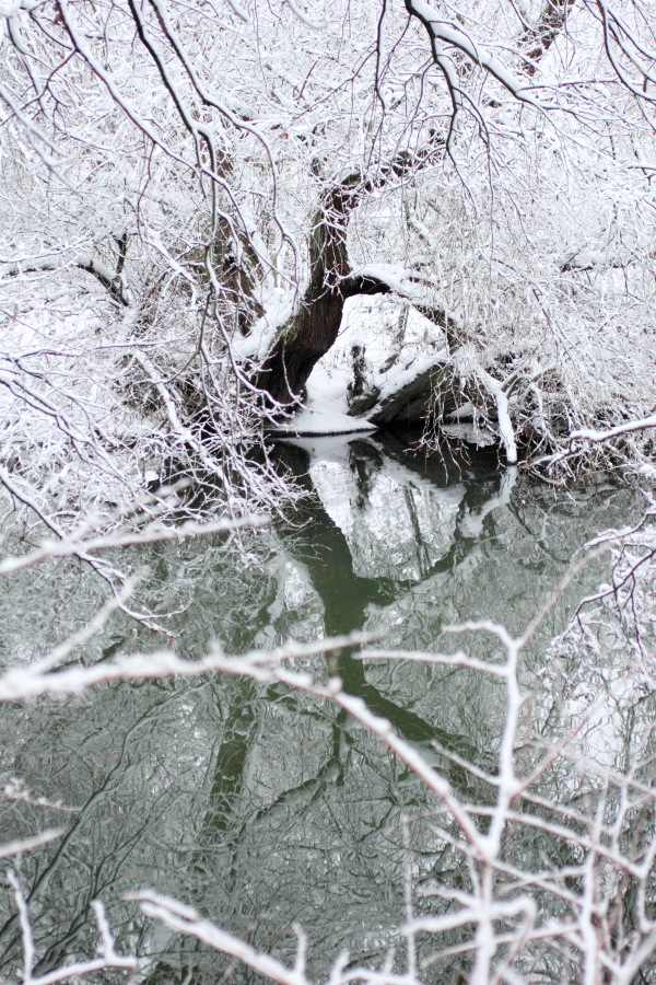 Lokation: Deutschland | Nordrhein-Westfalen | Essen | Oben im Eiberg Kategorien: Winter, Datum: 17.12.2010