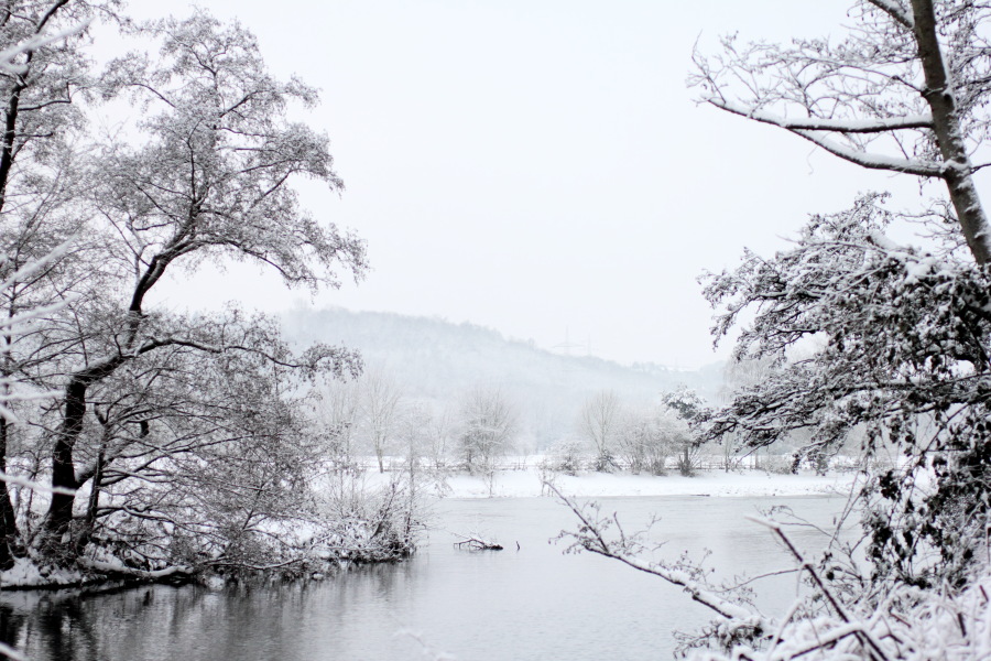 Lokation: Deutschland | Nordrhein-Westfalen | Essen | Oben im Eiberg Kategorien: Winter, Datum: 17.12.2010