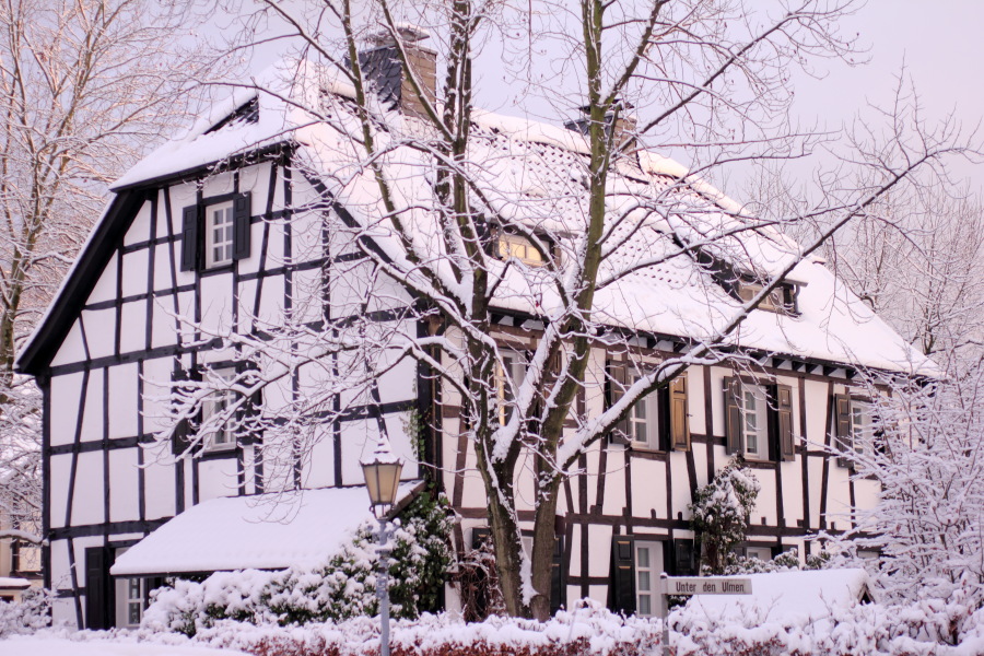 Lokation: Deutschland | Nordrhein-Westfalen | Bergisch Gladbach | Bergisch Gladbach Kategorien: Winter, Haus, Datum: 17.12.2010