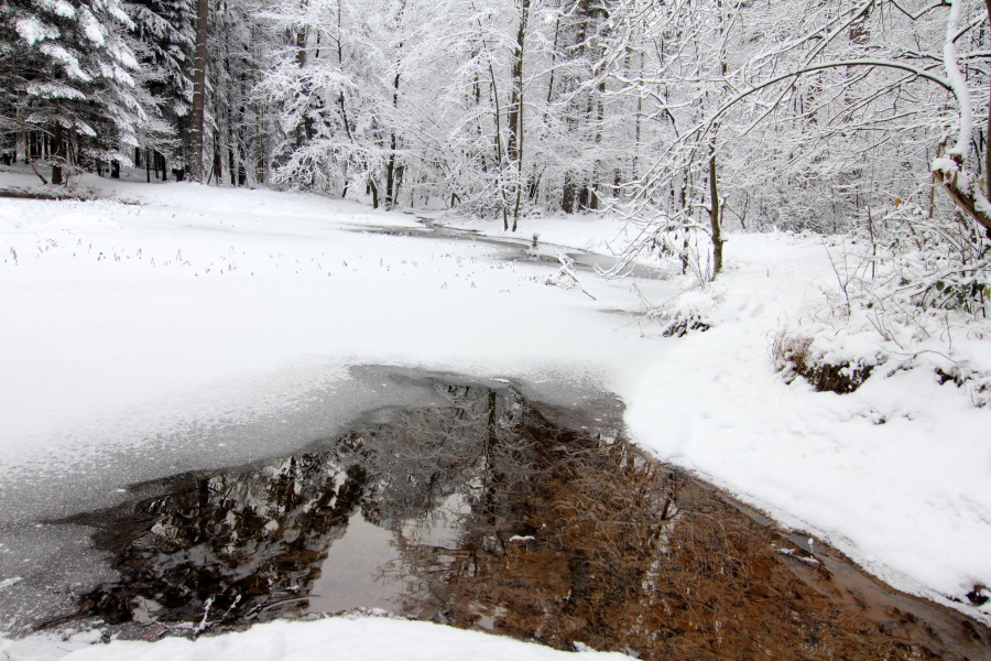 Lokation: Deutschland | Nordrhein-Westfalen | Bergisch Gladbach | Rodemich Kategorien: Winter, Datum: 18.12.2010