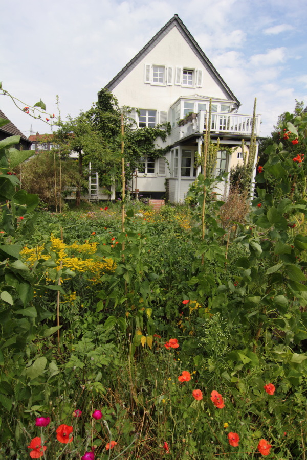 Lokation: Deutschland | Nordrhein-Westfalen | Bergisch Gladbach | Rodemich Kategorien: Haus, Datum: 16.07.2011