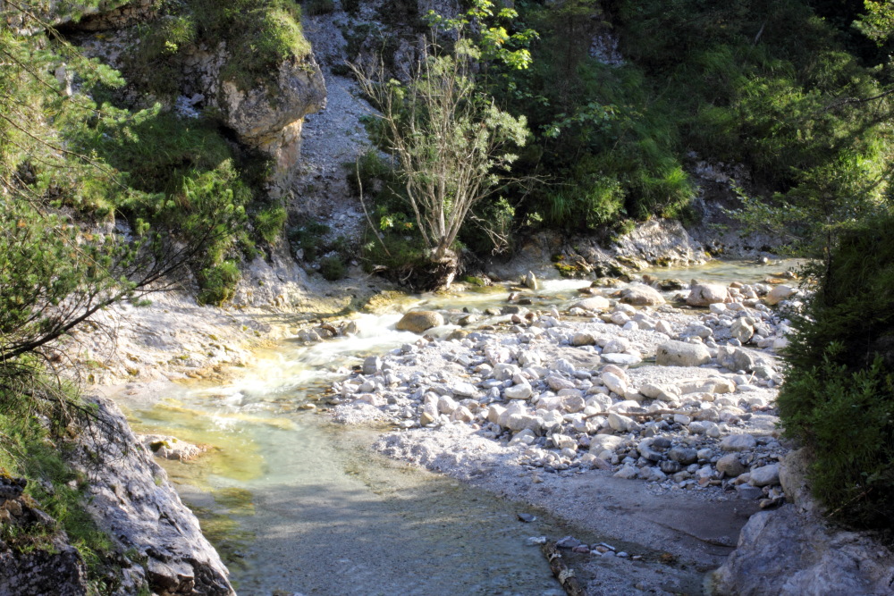 Lokation: Österreich | Kärnten | Trögern-Korte | Trögern Kategorien: Bach, Datum: 26.08.2011