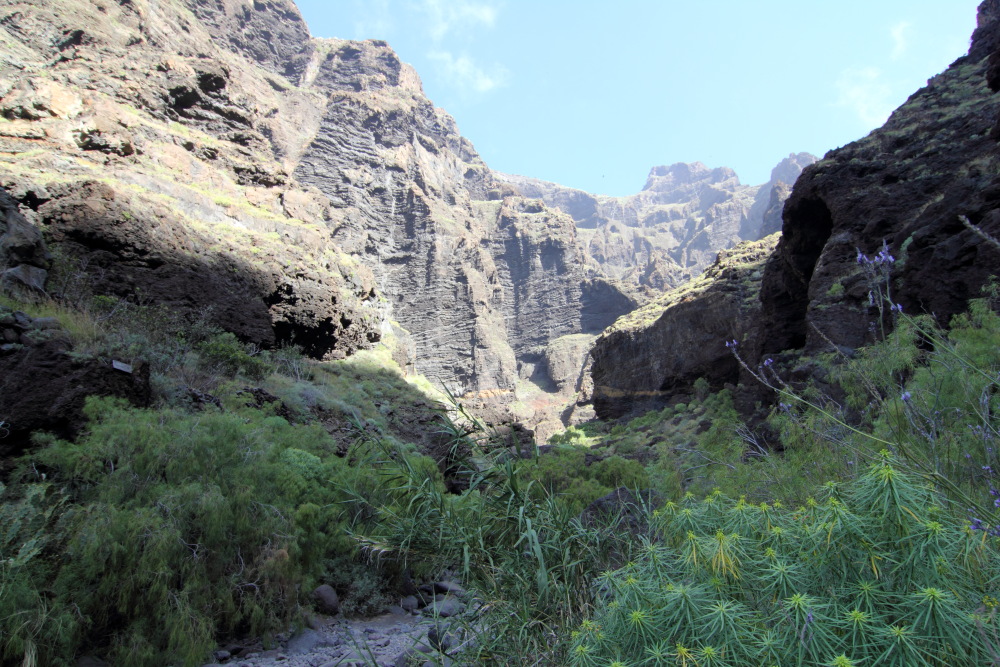 Lokation: Spanien | Canarias | Masca | Lomo de Masca Kategorien: Schlucht, Datum: 28.02.2011