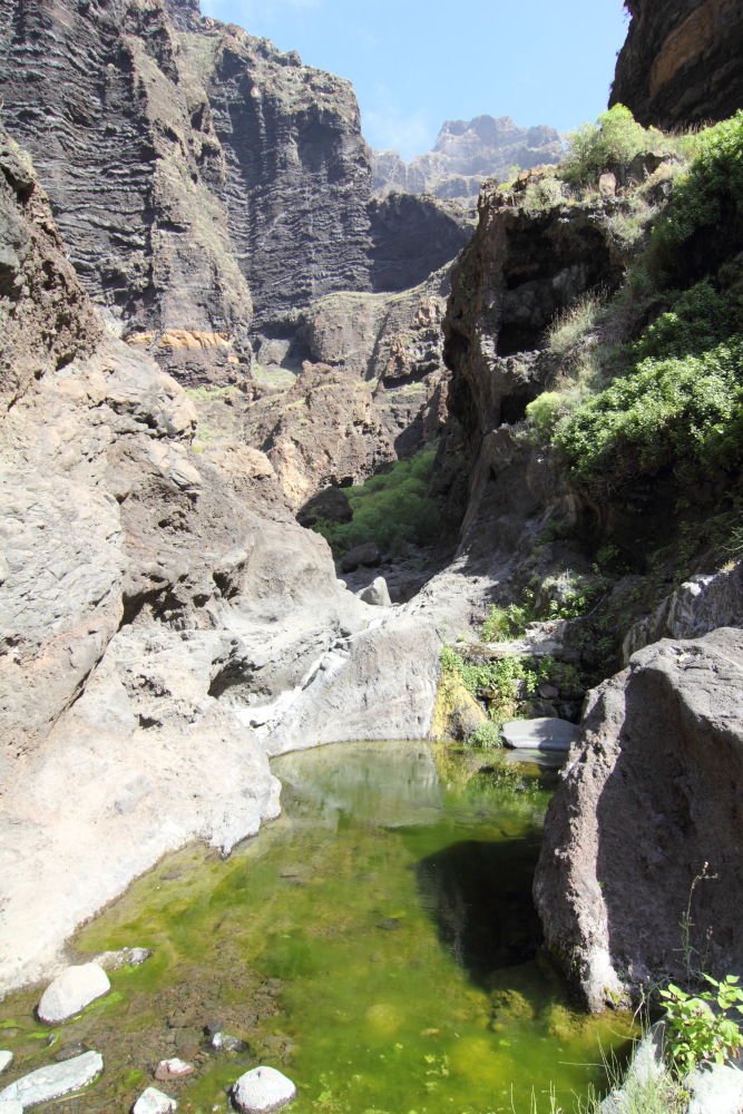 Lokation: Spanien | Canarias | Masca | Lomo de Masca Kategorien: Schlucht, Datum: 28.02.2011