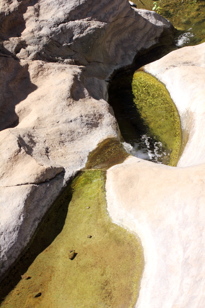 Lokation: Spanien | Canarias | Masca | Masca Kategorien: Bach, Datum: 28.02.2011