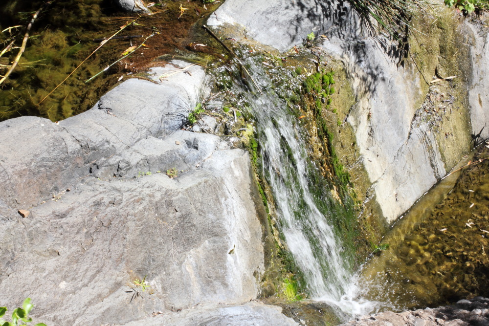 Lokation: Spanien | Canarias | Masca | Masca Kategorien: Bach, Datum: 28.02.2011