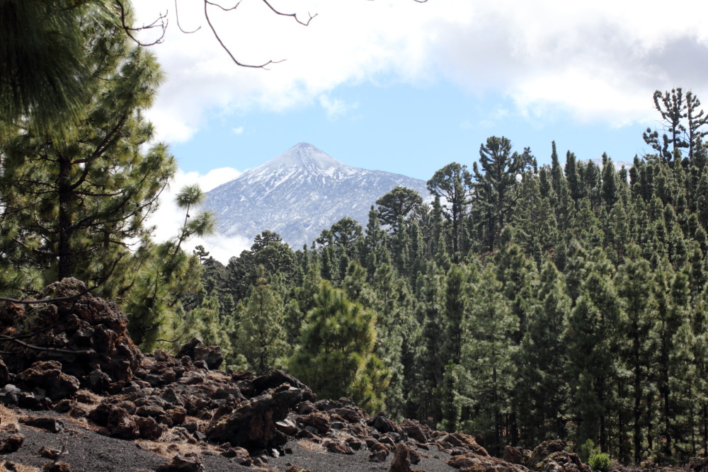 Lokation: Spanien | Canarias | Erjos | Los Llanos Kategorien: Berge, Datum: 05.03.2011