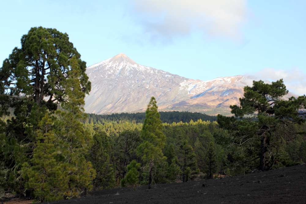 Lokation: Spanien | Canarias | Erjos | Los Llanos Kategorien: Berge, Datum: 06.03.2011