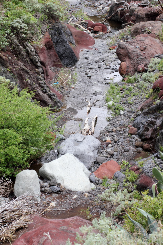 Lokation: Spanien | Canarias | Afur | Taborno Kategorien: Bach, Datum: 07.03.2011