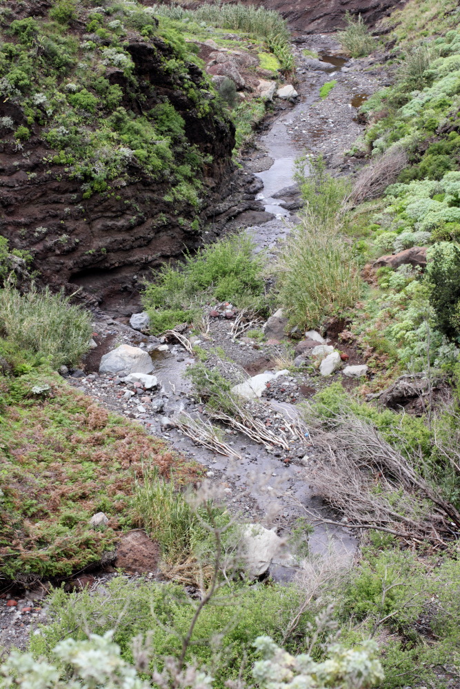 Lokation: Spanien | Canarias | Afur | Taborno Kategorien: Bach, Datum: 07.03.2011