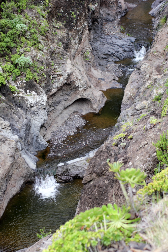 Lokation: Spanien | Canarias | Afur | Taborno Kategorien: Bach, Datum: 07.03.2011