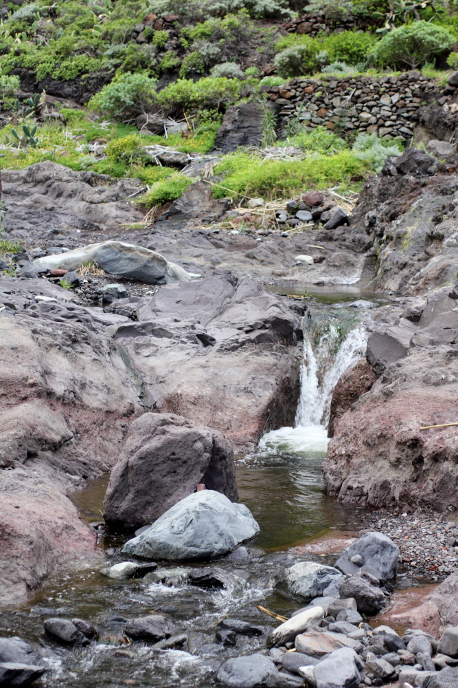 Lokation: Spanien | Canarias | Afur | Taborno Kategorien: Bach, Datum: 07.03.2011