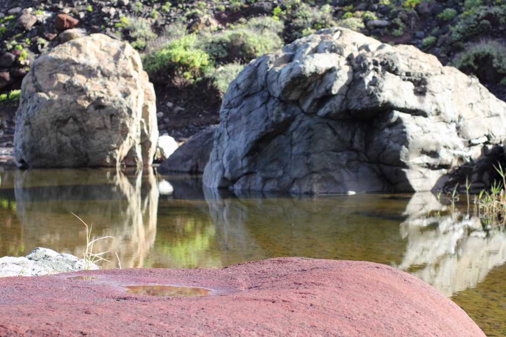 Lokation: Spanien | Canarias | Afur | Taborno Kategorien: Felsen, Datum: 08.03.2011