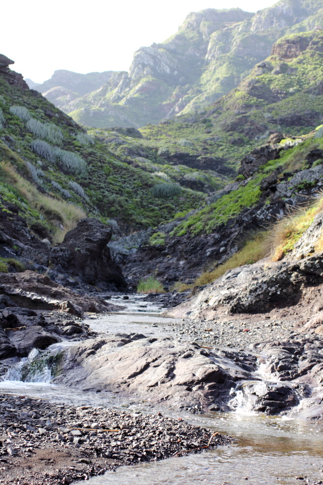 Lokation: Spanien | Canarias | Afur | Taborno Kategorien: Berge, Datum: 08.03.2011