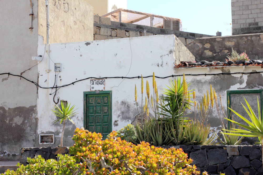 Lokation: Spanien | Canarias | Las Chafiras (San Miguel) | Golf del Sur Kategorien: Dorf, Datum: 11.03.2011