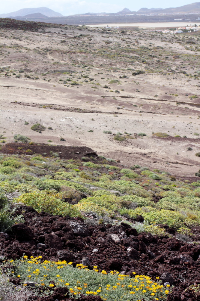 Lokation: Spanien | Canarias | El Medano | El Médano Kategorien: Berge, Datum: 12.03.2011
