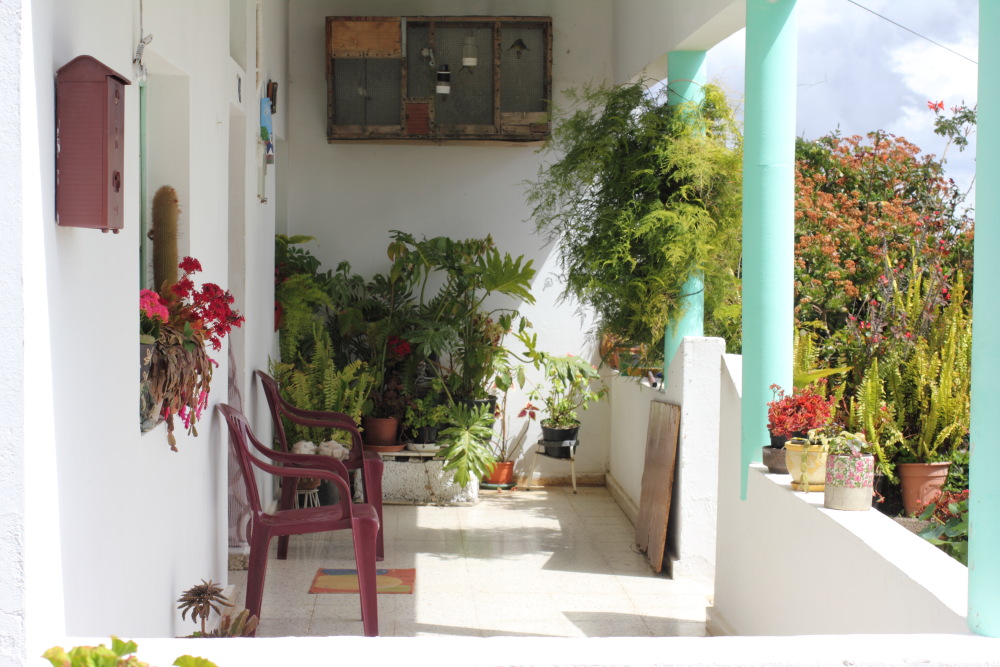 Lokation: Spanien | Canarias | Barriada Nueva (Granadilla) | Granadilla de Abona Kategorien: Dorf, Datum: 13.03.2011