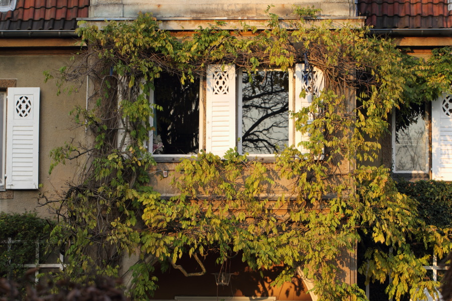 Lokation: Deutschland | Nordrhein-Westfalen | Bergisch Gladbach | Bergisch Gladbach Kategorien: Haus, Datum: 01.12.2012