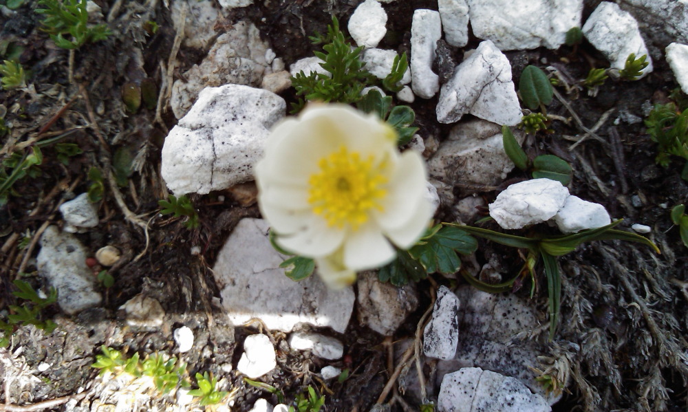 Lokation: Österreich | Salzburg | Rothenwand | Obertauern Kategorien: Datum: 15.08.2013