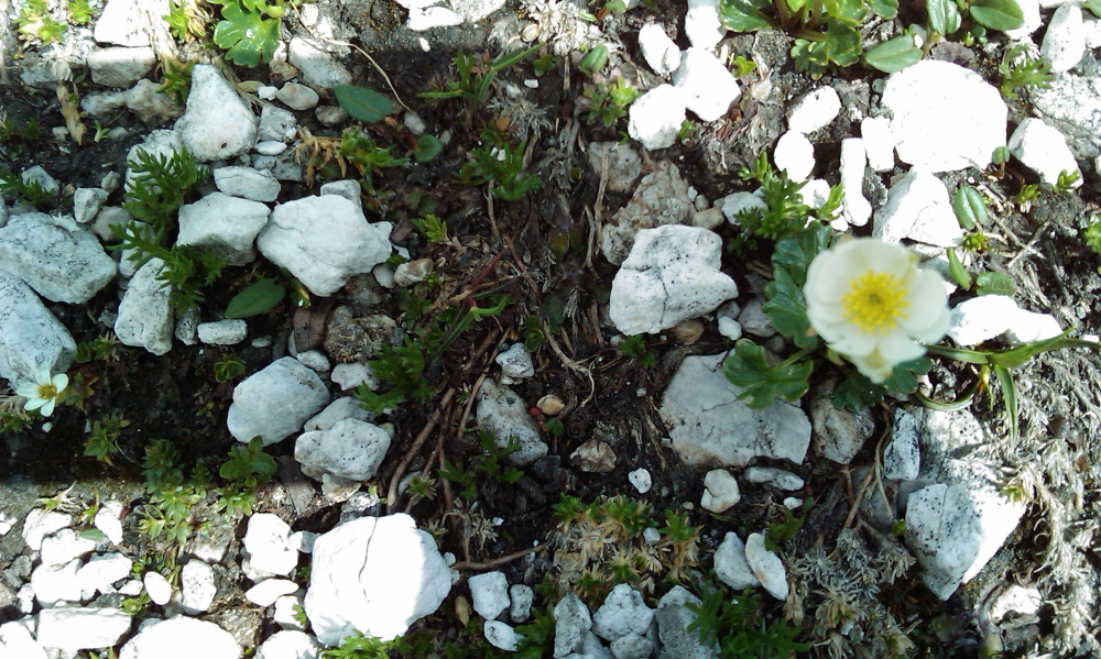 Lokation: Österreich | Salzburg | Rothenwand | Obertauern Kategorien: Datum: 15.08.2013