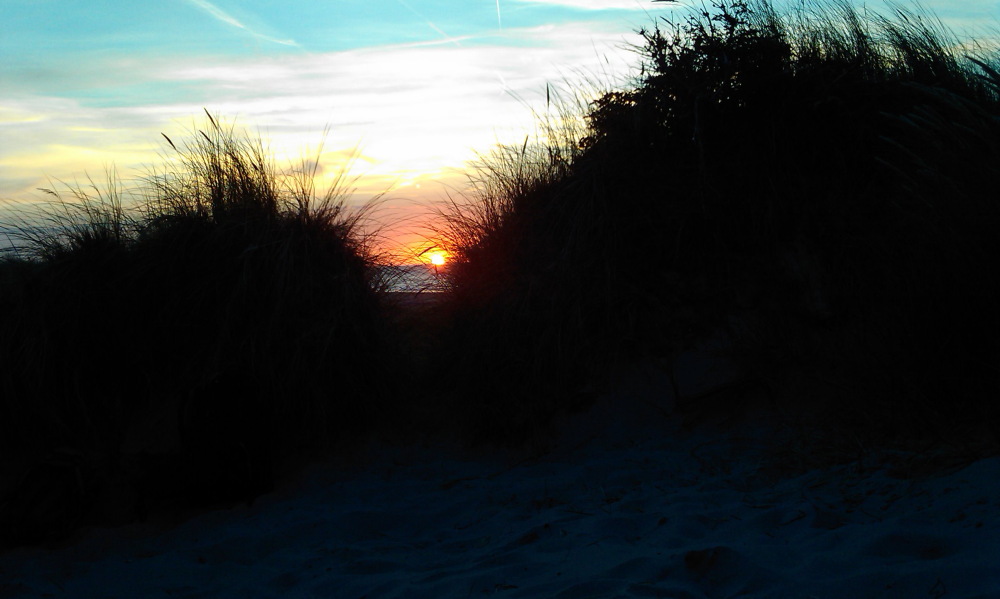 Lokation: Belgien | Vlaanderen | Knokke-Heist | Het Zwin Kategorien: Datum: 26.08.2013