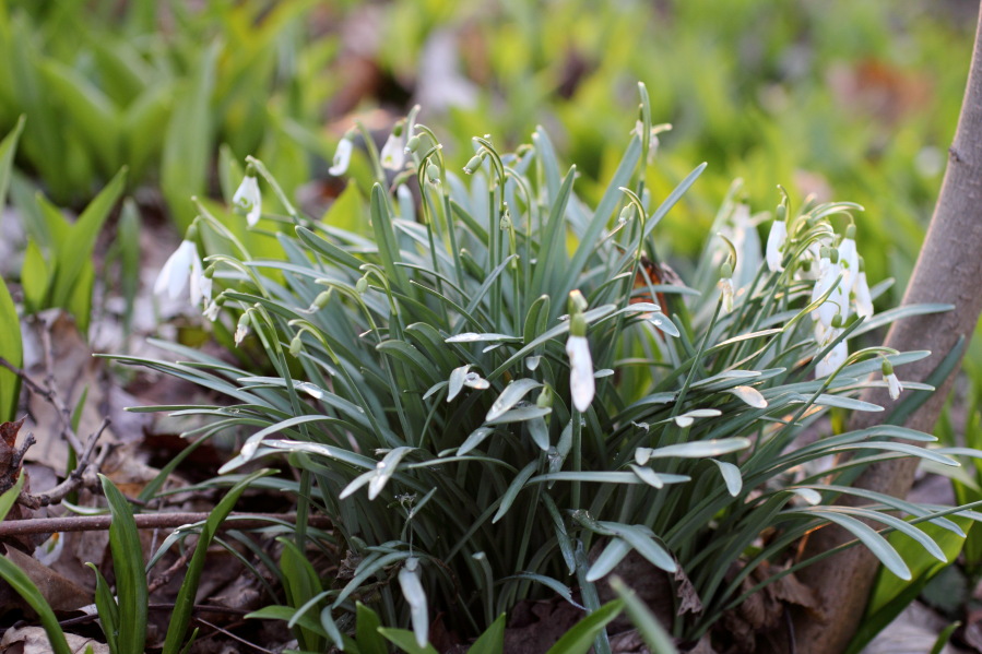Lokation: Deutschland | Bayern | München | Au Kategorien: Datum: 21.03.2013