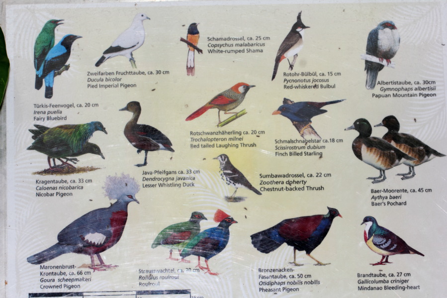 Lokation: Deutschland | Nordrhein-Westfalen | Köln | Riehl Kategorien: Tafel, Zoo, Datum: 03.04.2013