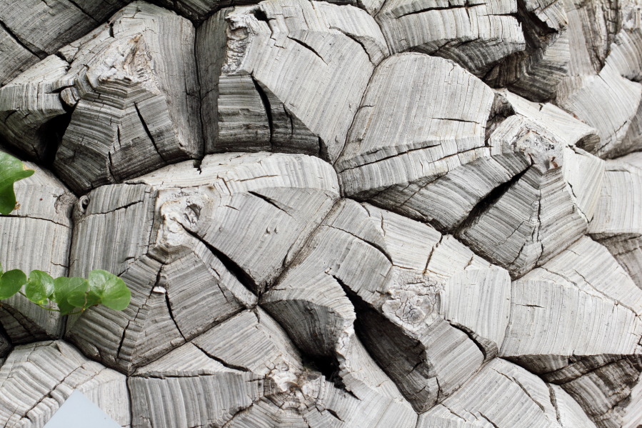 Lokation: Deutschland | Nordrhein-Westfalen | Köln | Riehl Kategorien: Gewächshaus, Datum: 17.09.2013