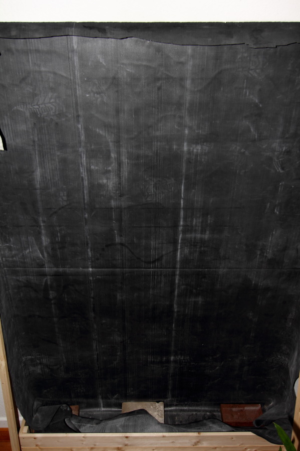 Lokation: Deutschland | Nordrhein-Westfalen | Bergisch Gladbach | Rodemich Kategorien: Pflanzenwand, Datum: 05.10.2013