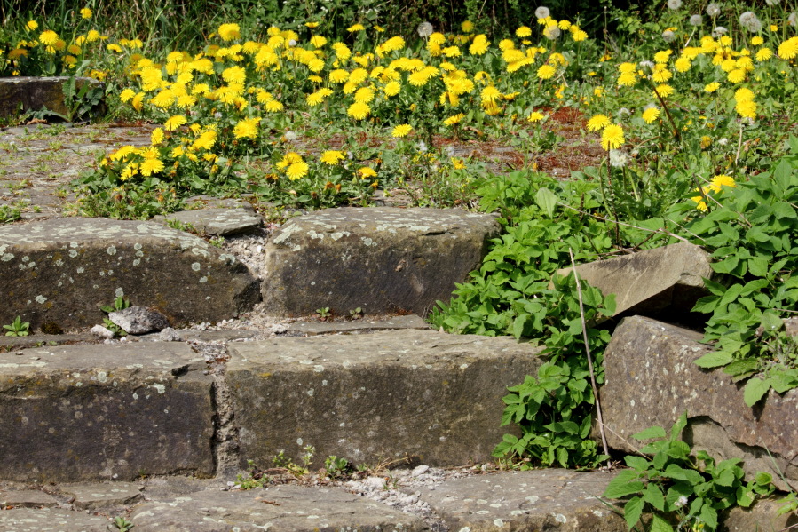 Lokation: Deutschland | Nordrhein-Westfalen | Bergisch Gladbach | Unterhombach Kategorien: Treppen, Datum: 12.04.2014