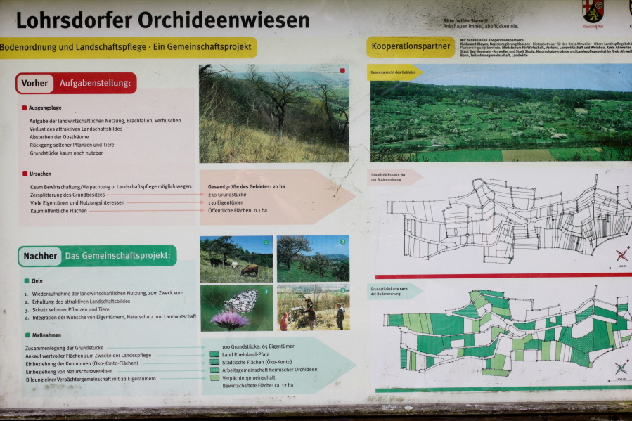 Lokation: Deutschland | Rheinland-Pfalz | Remagen | Lohrsdorf Kategorien: Illustration, Datum: 07.06.2014