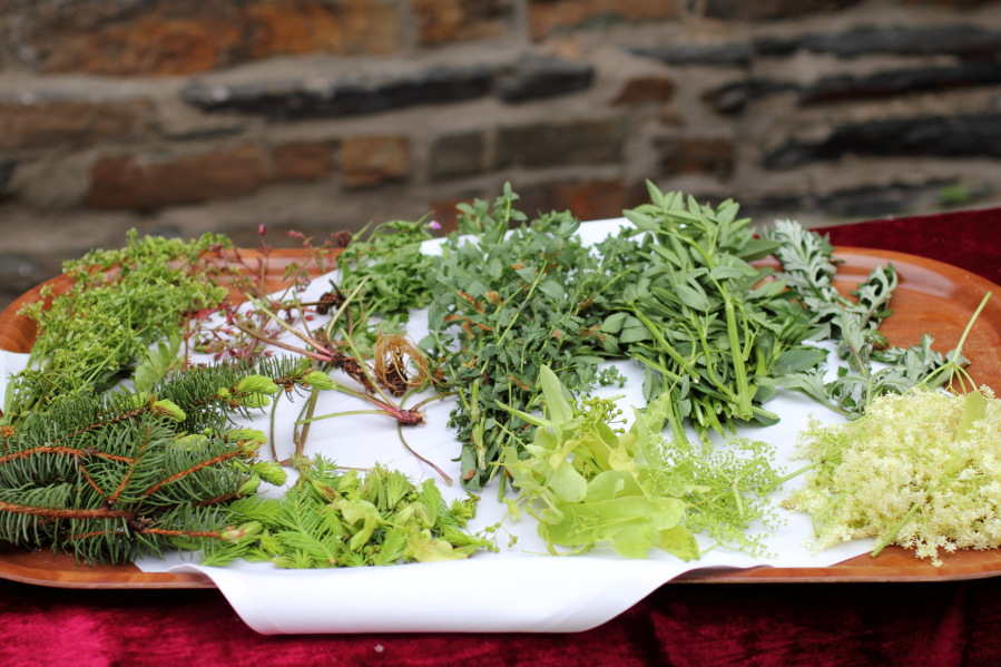 Lokation: Deutschland | Rheinland-Pfalz | Dernau | Dernau Kategorien: Wildkräuter, Datum: 07.06.2014