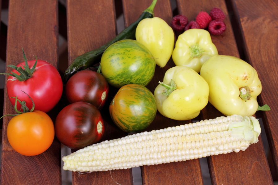 Lokation: Deutschland | Nordrhein-Westfalen | Bergisch Gladbach | Rodemich Kategorien: Früchte, Permakultur, Datum: 14.08.2014