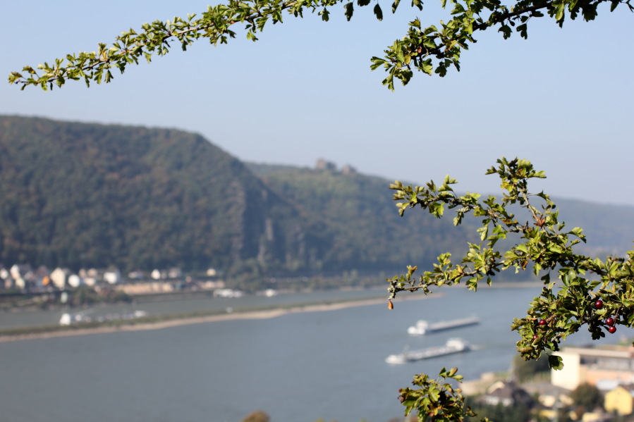 Lokation: Deutschland | Rheinland-Pfalz | Brohl-Lützing | Brohl-Lützing Kategorien: Landschaft, Datum: 03.10.2014