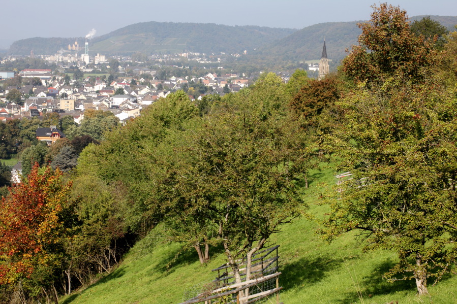 Lokation: Deutschland | Rheinland-Pfalz | Brohl-Lützing | Brohl-Lützing Kategorien: Landschaft, Datum: 03.10.2014