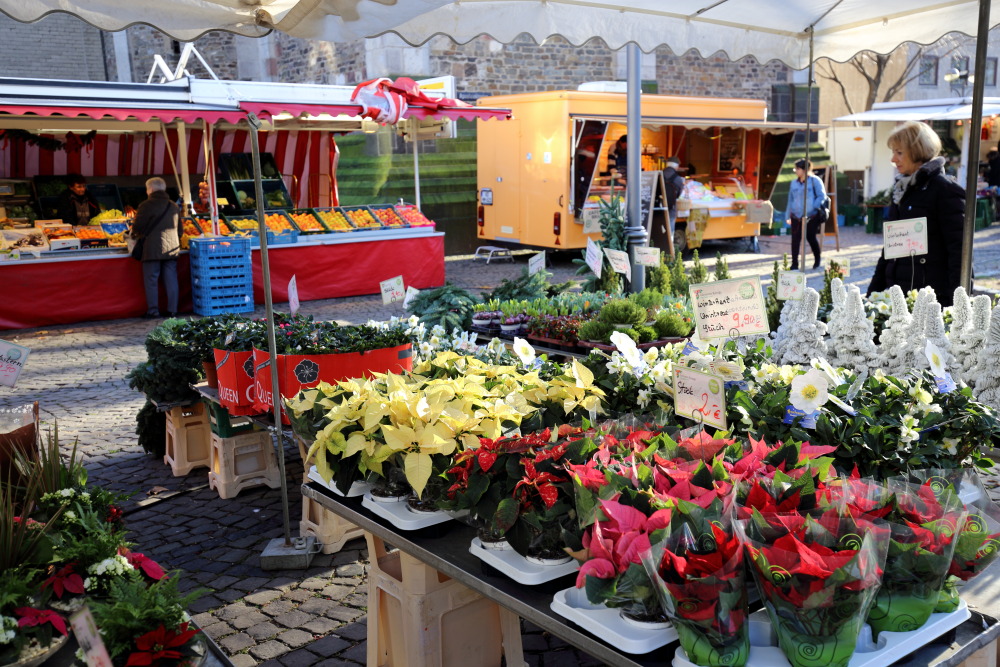 Lokation: Deutschland | Nordrhein-Westfalen | Köln | Neumarkt Kategorien: Markt, Datum: 08.12.2015