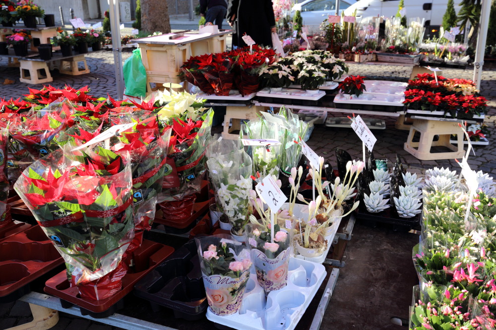 Lokation: Deutschland | Nordrhein-Westfalen | Köln | Neumarkt Kategorien: Markt, Datum: 08.12.2015