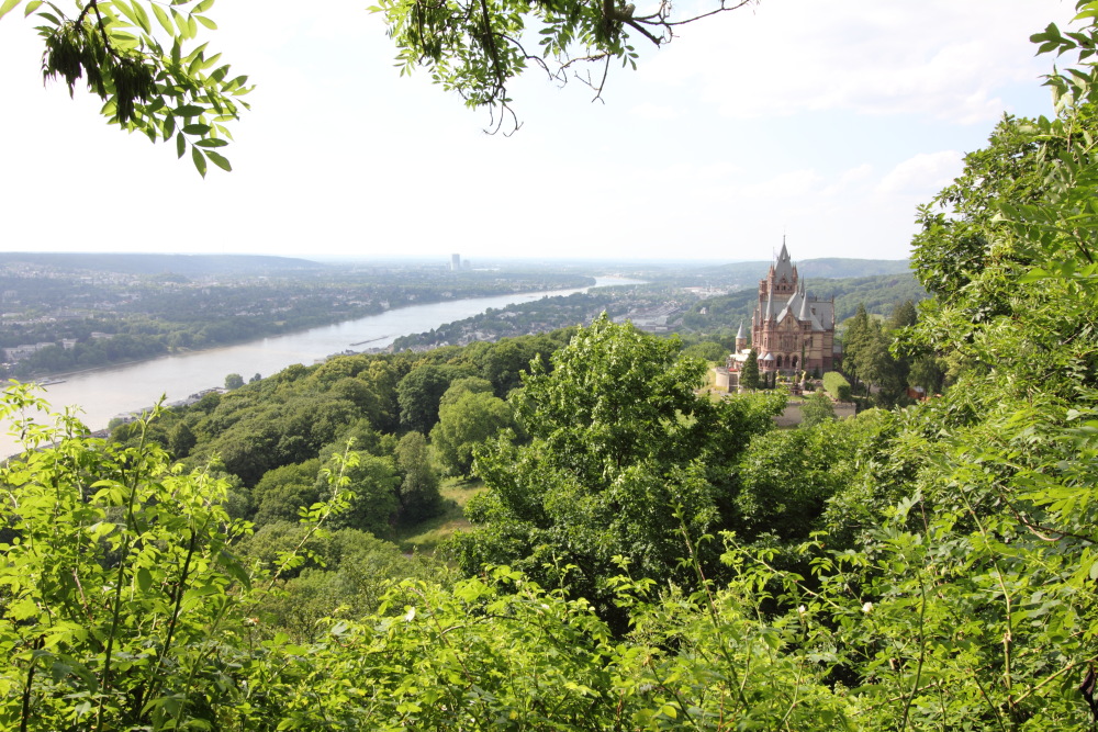 Lokation: Deutschland | Nordrhein-Westfalen | Bonn | Rhöndorf Kategorien: Fluss, Datum: 13.06.2015