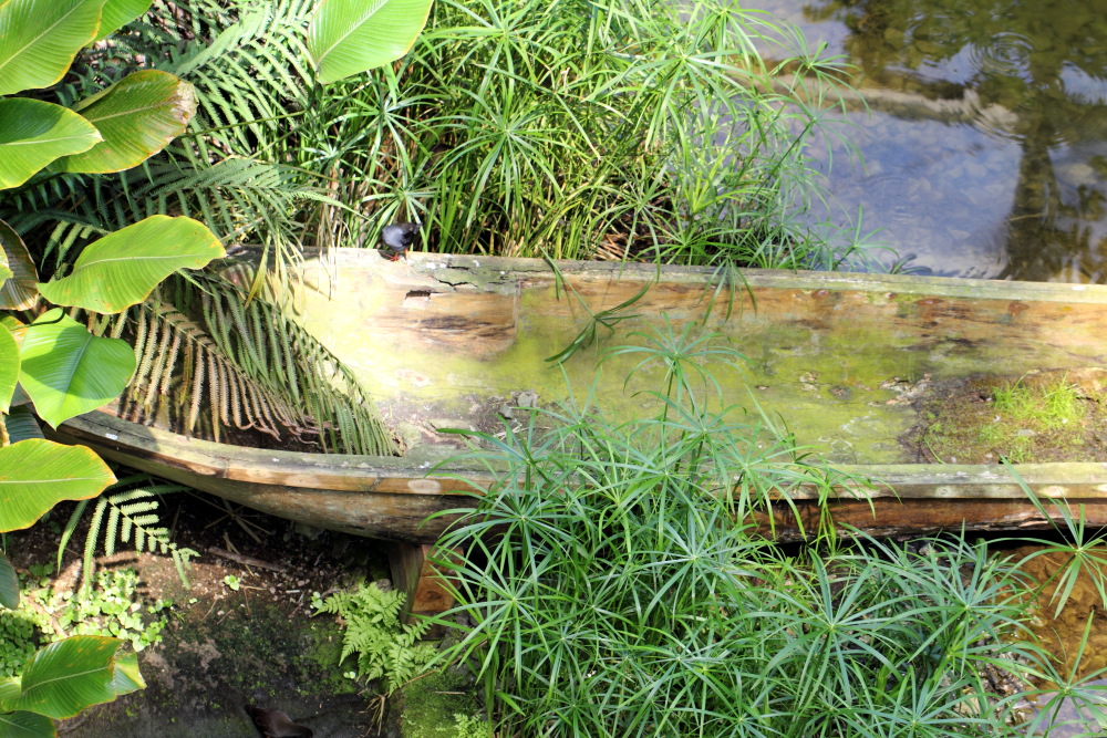 Lokation: Deutschland | Sachsen | Leipzig | Leipzig Kategorien: Gewächshaus, Datum: 01.07.2015